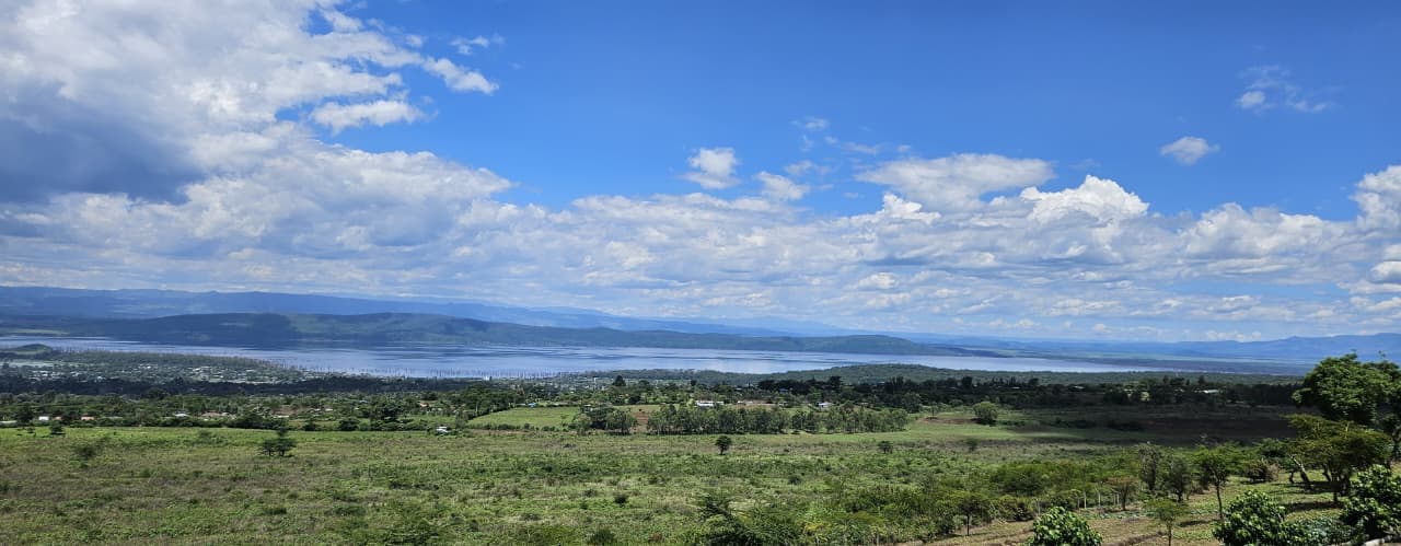 Views of the property